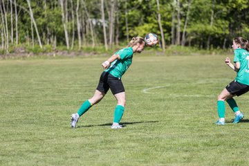 Bild 381 - F SG NieBar - IF Stjernen Flensborg : Ergebnis: 2:0